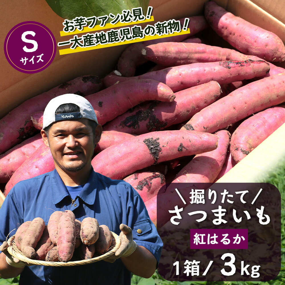 【ふるさと納税】さつまいも 紅はるか 堀りたて 3kg ( 1箱 ) Sサイズ 新物 鹿児島県産 2025年12月末までに出荷