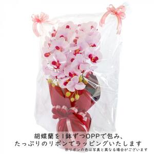 No.829-01 造花 シルクフラワーの胡蝶蘭の鉢植 3本立 CT触媒 ホワイトオーキッド