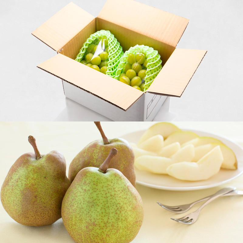 【定期便６回】厳選フルーツお楽しみ＼2024年 秋 ～2025年 夏