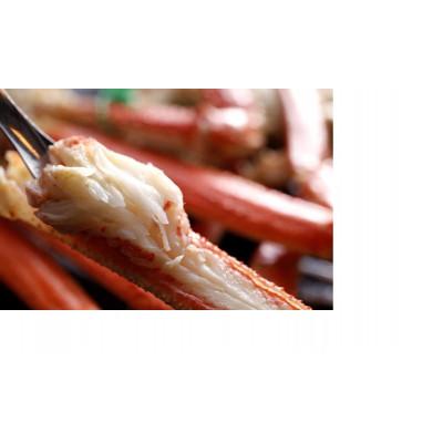 ふるさと納税 京丹後市 【厳選】茹で松葉蟹 L(600g級)×1杯　★11月15日頃〜12月お届け |  | 01