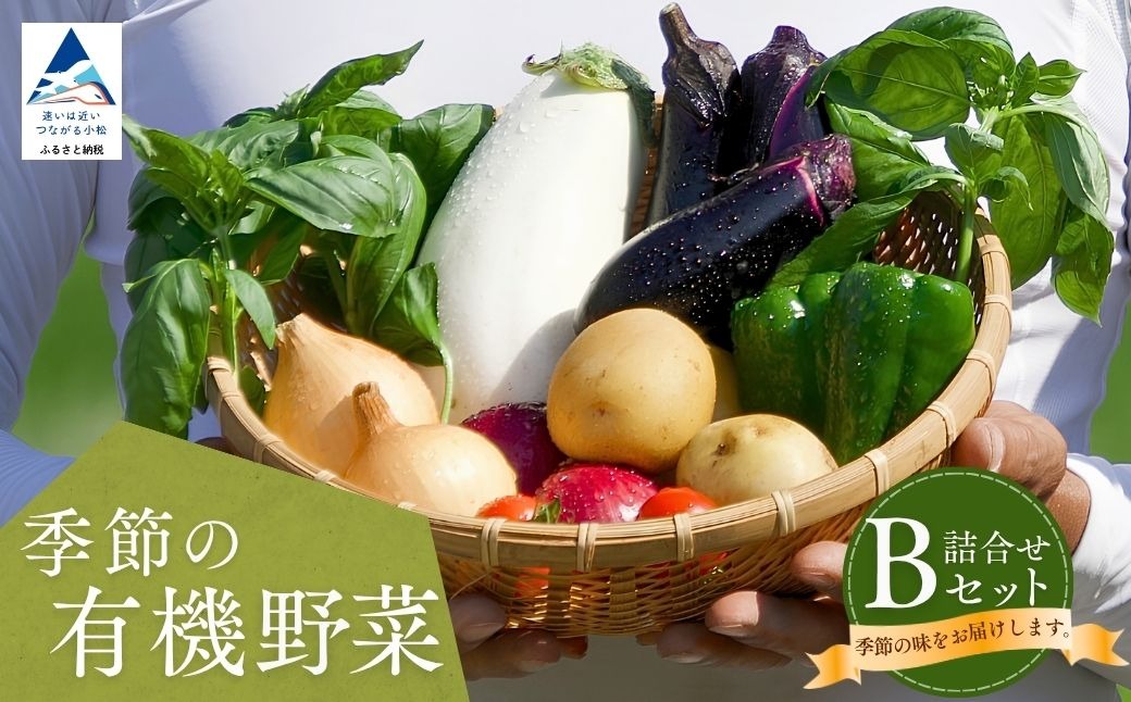 西田農園　季節の有機野菜詰合せ　Bセット  da002n00