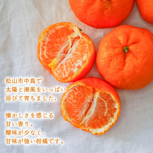 【2月上旬より発送】低農薬栽培ポンカン 2kg | 数量選択可 ぽんかん ポンカン みかん ミカン 蜜柑 柑橘 数量限定 愛媛県産 松山市 中島 低農薬 愛媛県 【NO025】