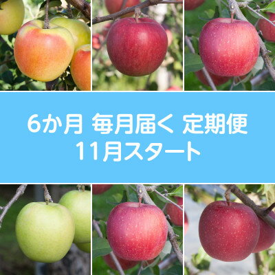 【ふるさと納税】【発送月固定定期便】〈2025年11月より順次発送〉青森県産りんご約3kg全6回【配送不可地域：離島・沖縄県】【4068301】