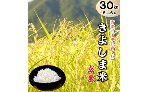 きよしま米【玄米】５kg×６袋[825] コシヒカリ