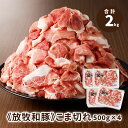 【ふるさと納税】【レビューキャンペーン中】≪放牧和豚≫こま切れ 500g×4 - 国産 豚肉 豚 真空パック 小分け ブランド豚 パイオニアポーク Pioneer Pork 豚こま 冷凍 2kg 豚こま肉 豚こま切れ こま切れ肉 旨味・コク・さっぱり感の放牧和豚 送料無料【宮崎県木城町】