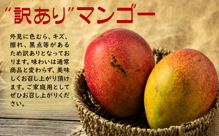 W-22201／【訳あり品】鹿児島産 温泉マンゴー 700g 期間限定 【2026年夏発送】