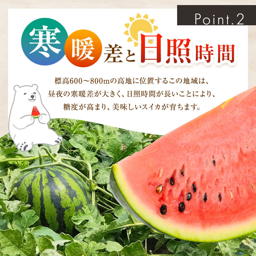 昼夜の温度差と豊富な日照量、生産者の愛情がおいしいすいかをはぐくみます。