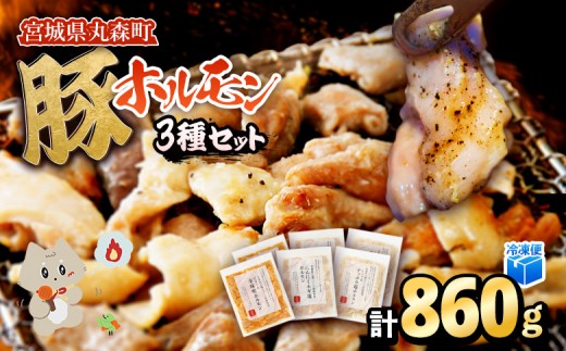 
                  【古今東北】 丸森町大槻ファーム 豚ホルモン3種セット(計860g） | 古今東北 大槻ファーム 豚ホルモン 3種類 セット 860g めぐみ野豚 めぐみ野ポーク 三元豚 豚肉 焼肉 ホルモン 味付き 味付けホルモン しこうまテッポウ塩ホルモン 辛味噌ホルモン にんにくネギ塩ホルモン 白モツ 柔らかい 肉厚 ふるさと納税 お取り寄せ 宮城県 丸森町 丸森【30102】
                