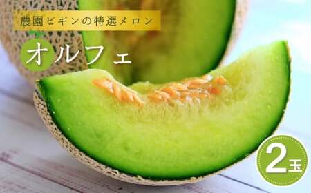 【先行予約】令和7年度産 メロン オルフェ 2玉 農園ビギン 【0002-0330-01】