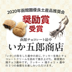 いか大漁函　【函館随一の工芸菓子「いかようかん」と焼チョコ最中「いか五郎商店」とのイカすセット！】 お取り寄せ 送料無料_HD070-001