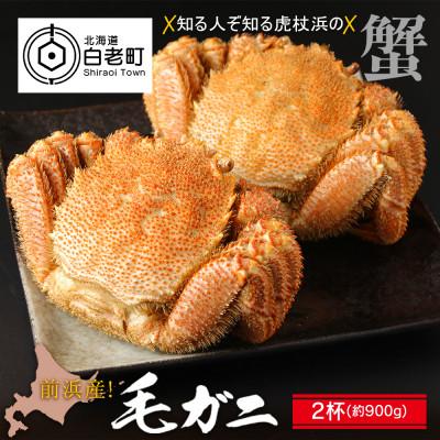 ふるさと納税 白老町 前浜産!毛ガニ　2杯(約900g)