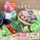 【ふるさと納税】【全6回定期便】旬を味わう『糸島野菜セット』年6回お届けコース 10～14種（計14パック） イタリア野菜 オーガニック 野菜ソムリエ松永 vegeLabo [AJB002] 120000円 12万円 100000円 10万