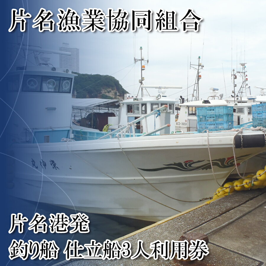 【ふるさと納税】 [ 片名漁協 ] 釣り船 仕立て船 利用券 3人 乗船券 釣り 仕立て 船 魚釣り フィッシング 体験 春 夏 秋 冬 チケット レジャー 愛知県 南知多町 人気 おすすめ