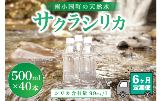 
【6ヶ月定期便】南小国町の天然水「サクラシリカ」500ml×40本
