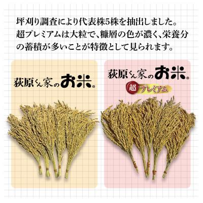 ふるさと納税 御代田町 令和7年産　荻原くん家のお米 超プレミアム(白米)　5kg　 |  | 01