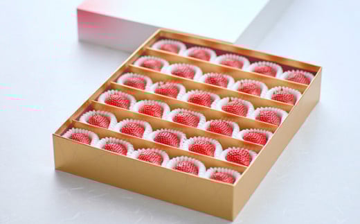 【先行予約】とちおとめ 特別贈答用 まなこころ・煌（850g【30～36粒】） ｜ とちおとめ トチオトメ イチゴ 苺 いちご きらめき 新鮮 中粒 箱 真心農園 果物 フルーツ 自然 甘い 美味しい ジューシー ビタミン おいしい おすすめ 贈り物 ギフト 埼玉県 東松山市