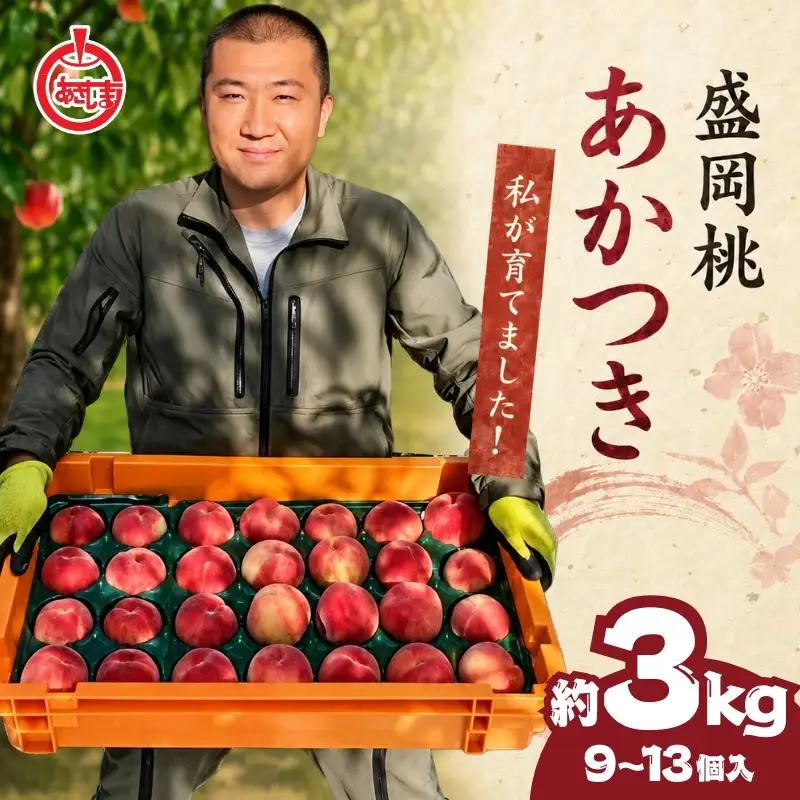 【先行予約】 桃あかつき約3kg(9~13個)【8月上旬～順次発送】【asashima002】