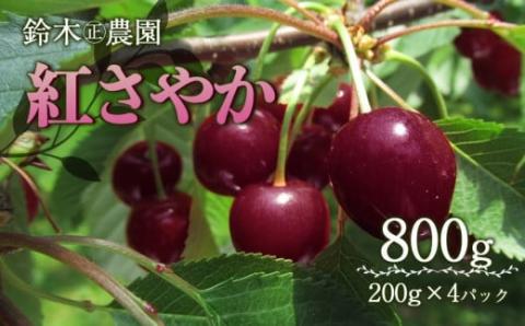 【令和6年産 先行予約】さくらんぼ 紅さやか M～Lサイズ混合 バラ詰め 800g(200g×4p)　山形県鶴岡市産　鈴木?農園