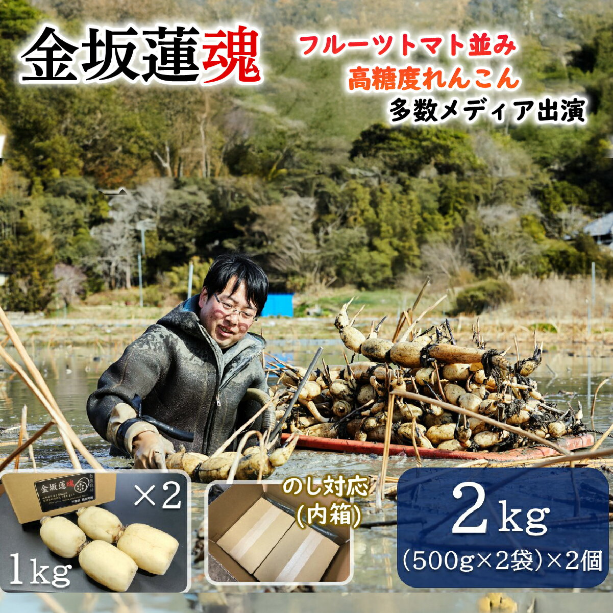 【ふるさと納税】【10月上旬～順次発送】 千葉県産 れんこん真空パック(2kg)自然栽培【金坂蓮魂】ふるさと納税 やさい 野菜 根菜 れんこん レンコン 蓮根 季節 旬 シャキシャキ 金坂蓮魂 かねさかれんこん カネサカレンコン 長南町 千葉県 CNX002