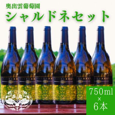 ふるさと納税 雲南市 シャルドネ(白ワイン)750ml×6本セット 辛口