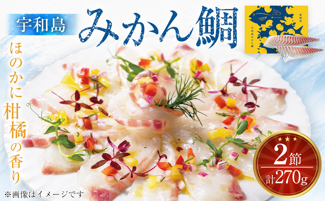 
                  宇和島みかん鯛 2節 計270g 鯛 たい タイ 魚 柑橘 真空パック 愛媛県 （878）
                