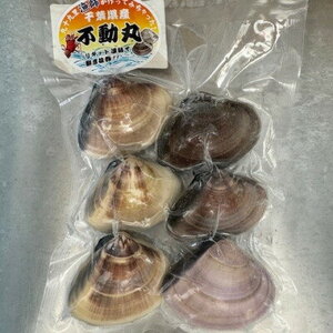瞬間冷凍 大サイズ九十九里産地はまぐり 1kg【配送不可地域：離島】【1570720】