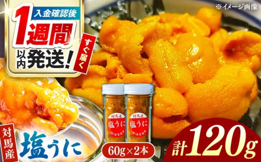 【1週間以内発送】対馬産 塩うに 60g×2本《対馬市》【保家商事】 ウニ うに 冷凍 生ウニ 雲丹 対馬 ムラサキウニ 紫ウニ 紫うに 人気 ランキング 長崎 九州 つしま 対馬市 海鮮 魚介 [WAA018] スピード発送 最速発送 最短発送