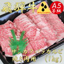 【ふるさと納税】AB-42 A5飛騨牛サンカクバラカルビ焼き肉用1kg