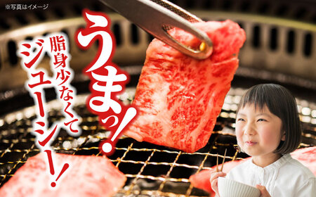 【全6回定期便】牛肉 焼肉 牛ロース 300g [APAZ079] 牛肉