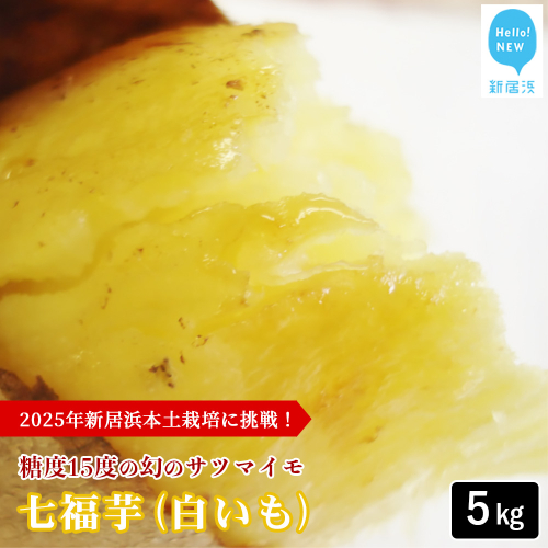 【先行予約】【数量限定】 新居大島の遺伝子を受け継ぐ幻のさつまいも 「七福芋（白いも）」 新居大島原産・本土栽培品 5kg 七福芋 白芋 不選別