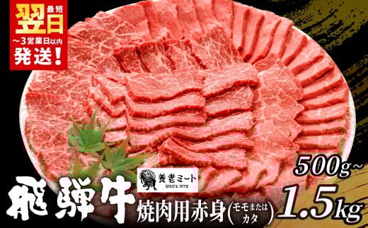 
            【12/21入金分まで年内発送】 贅沢！ 飛騨牛 モモまたはカタ 焼肉用 500g～1.5kg 2～10人前 牛肉 和牛 肉 焼肉 BBQ 霜降り カルビ 赤身 モモ カタ 東白川村 岐阜 養老ミート
          