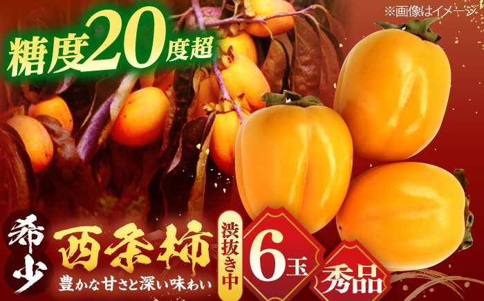 
                  柿 【先行予約】秀品西条柿 6玉【マルカミ農縁株式会社】 [ALCM003] 柿 かき カキ 西条柿 フルーツ fruit 果物 くだもの 食品 送料無料 旬 甘柿 デザート お取り寄せ 産地直送 贈答品 特産品 完熟 お礼品 グルメ 国産 人気 おすすめ 秋の味覚 旬のフルーツ プレゼント 島根県 松江市
                