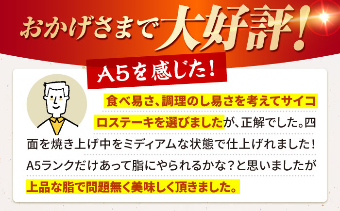 【全12回定期便】佐賀牛 サイコロステーキ（約300g）【肉の三栄】 [HAA053]