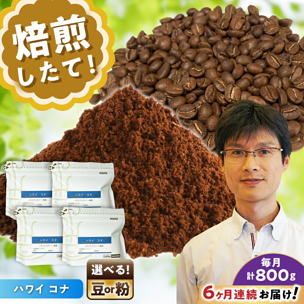 【ふるさと納税】【全6回定期便】【選べる豆 or 粉】 ハワイ・コナ 200g×4個 / 珈琲 コーヒー / 瀬戸市 / Coffee　SAKURA[BBAB076]