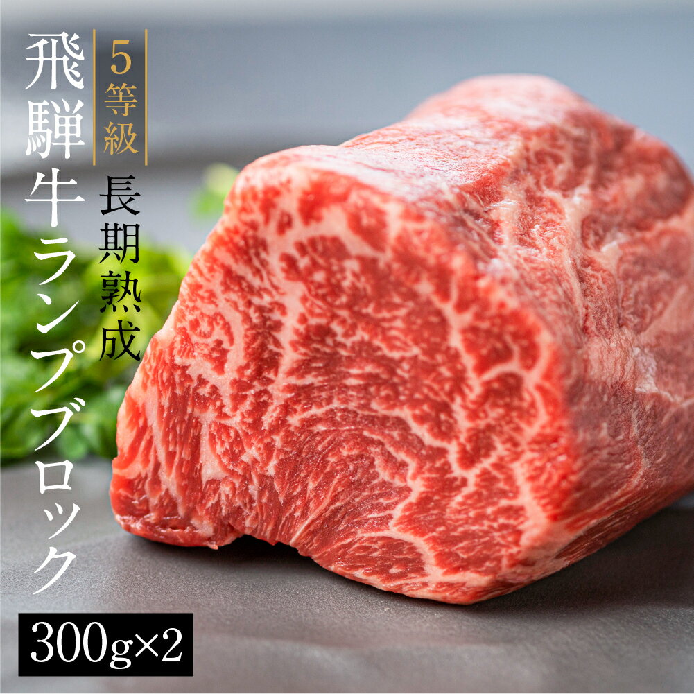 【ふるさと納税】飛騨牛 5等級 ランプブロック 300g×2 600g 和牛 国産 黒毛和牛 塊肉 ステーキ 赤身 希少部位 バーベキュー BBQ アウトドア ローストビーフ 古里精肉店謹製 [Q1952]