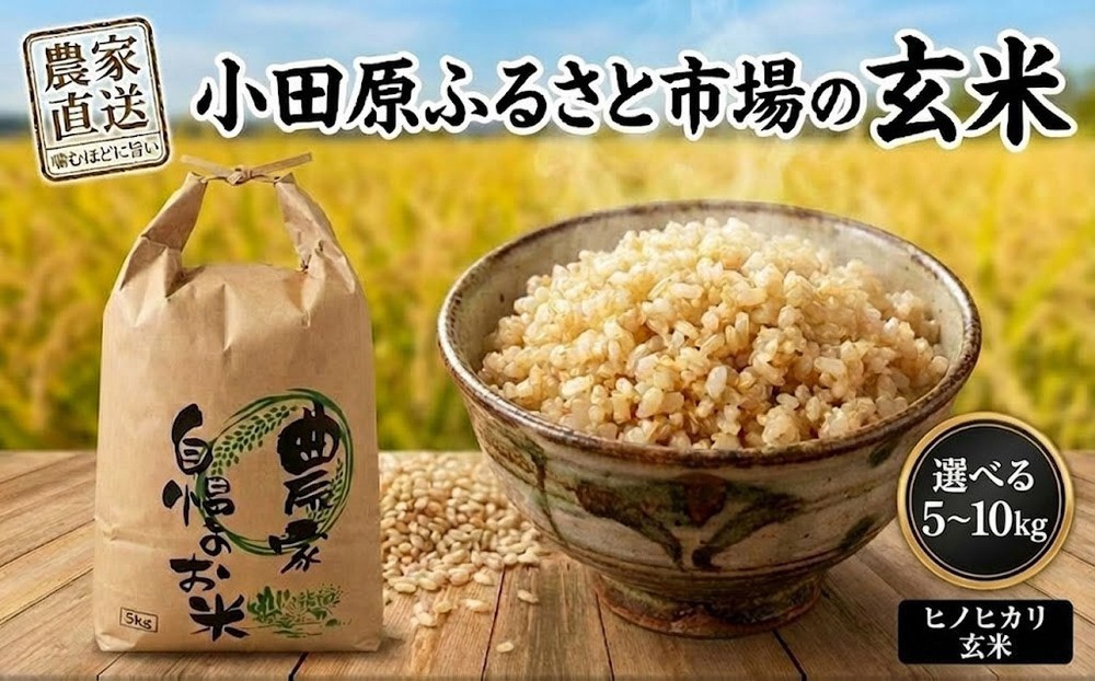 
                  小田原ふるさと市場の玄米 選べる 5kg / 10kg | 米 玄米 ヒノヒカリ 玄米 ひのひかり 米 大分県 九州 豊後高田市
                