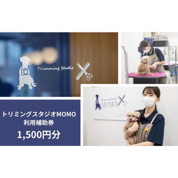 【ふるさと納税】トリミング＆写真撮影利用補助券 ( 1500円分 ) トリミングスタジオMOMO | 埼玉県 北本市 トリミングチケット 犬と猫のトリミング 写真撮影 記念 ペットサービス ペットケア ペットサロン