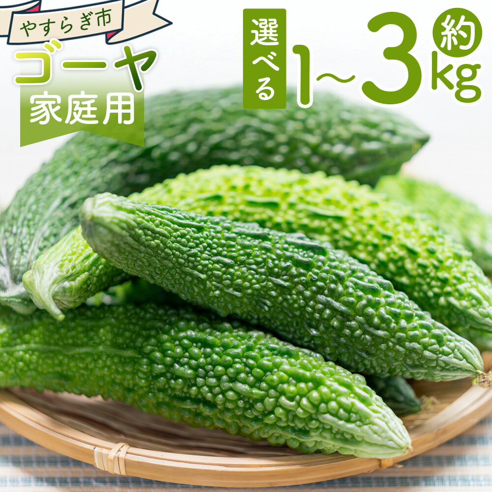 【ふるさと納税】【2025年10月以降発送】【選べる数量】ゴーヤ (1kg/2kg/3kg) 家庭用 - 選べる 数量 国産 野菜 青果 ごうや 苦瓜 天ぷら 炒め物 ご家庭用 不揃い 傷 やすらぎ市 高知県 香南市【常温】 Ryr-0092