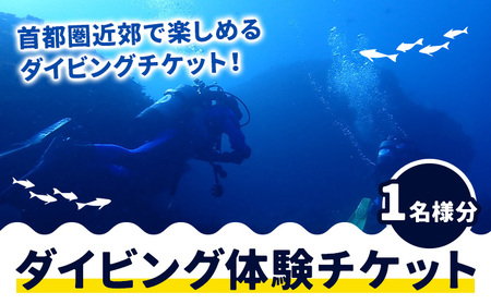 体験ダイビングチケット 勝浦ダイビング協会《30日以内に出荷予定(土日祝除く)》