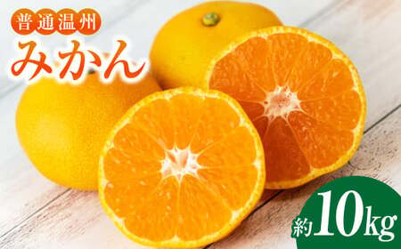 温州みかん 約10kg 柑橘 みかん 蜜柑  果物 くだもの フルーツ 果実 デザート 【2025年12月上旬～2026年1月下旬発送予定】