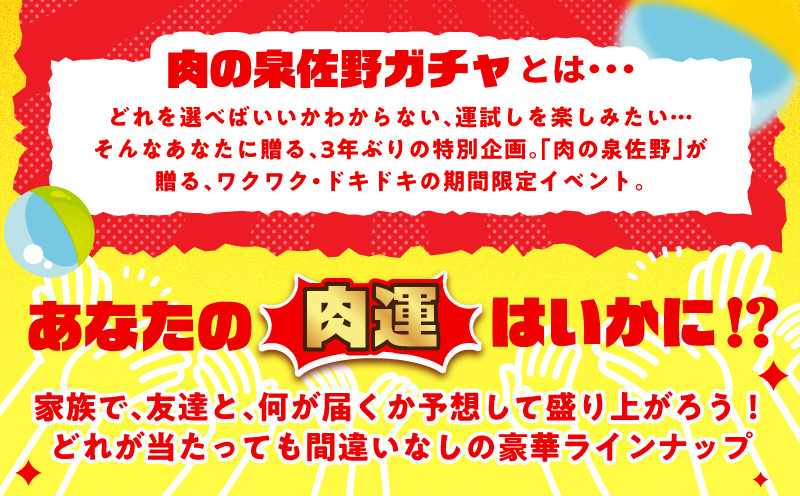【期間限定】肉の泉佐野 ガチャ（寄附10,000円コース）【牛肉 焼肉 牛タン ハラミ カルビ BBQ ハンバーグ お楽しみ 大阪 泉佐野 大阪府 泉佐野市】