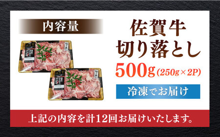 【全12回定期便】佐賀牛切り落とし 計6kg（500g×12回） / 佐賀県 / 株式会社中山牧場[41AOCW022]