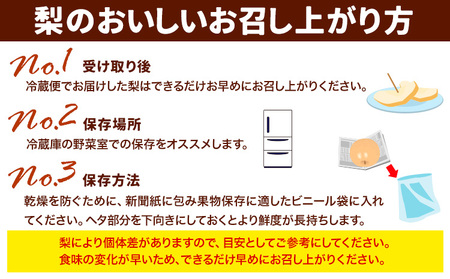 梨 梨 秀品 荒尾梨 「ことのみ」 あきづき  約4.5～5kg(10_16玉) 《9月上旬-9月中旬頃出荷》 JAたまな荒尾梨部会 梨  