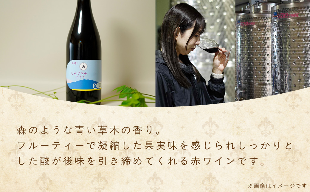 多古ワイン2021・山ぶどう【赤】【日本ワイン】750ml・1本【配送不可地域：離島・沖縄県】【1403633】 TAKM003