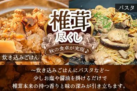 【世界初CoC認証取得！】宮崎県諸塚村産 乾しいたけ スライス 20g×6P 計120g 常温｜干ししいたけ どんこ 椎茸 冬菇 パスタ 味噌汁 原木栽培 家庭用 もろっこはうす MO-26