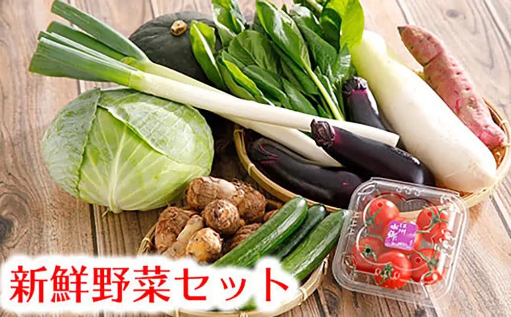 近江野菜詰め合せセット 1.5㎏～2㎏ 【K002W】 野菜 旬 新鮮