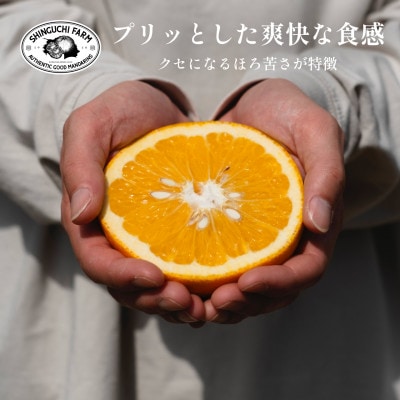 創業百八年 愛媛みかんの老舗【八朔5kg】家庭用【新口農園】【C70−28】【1470659】