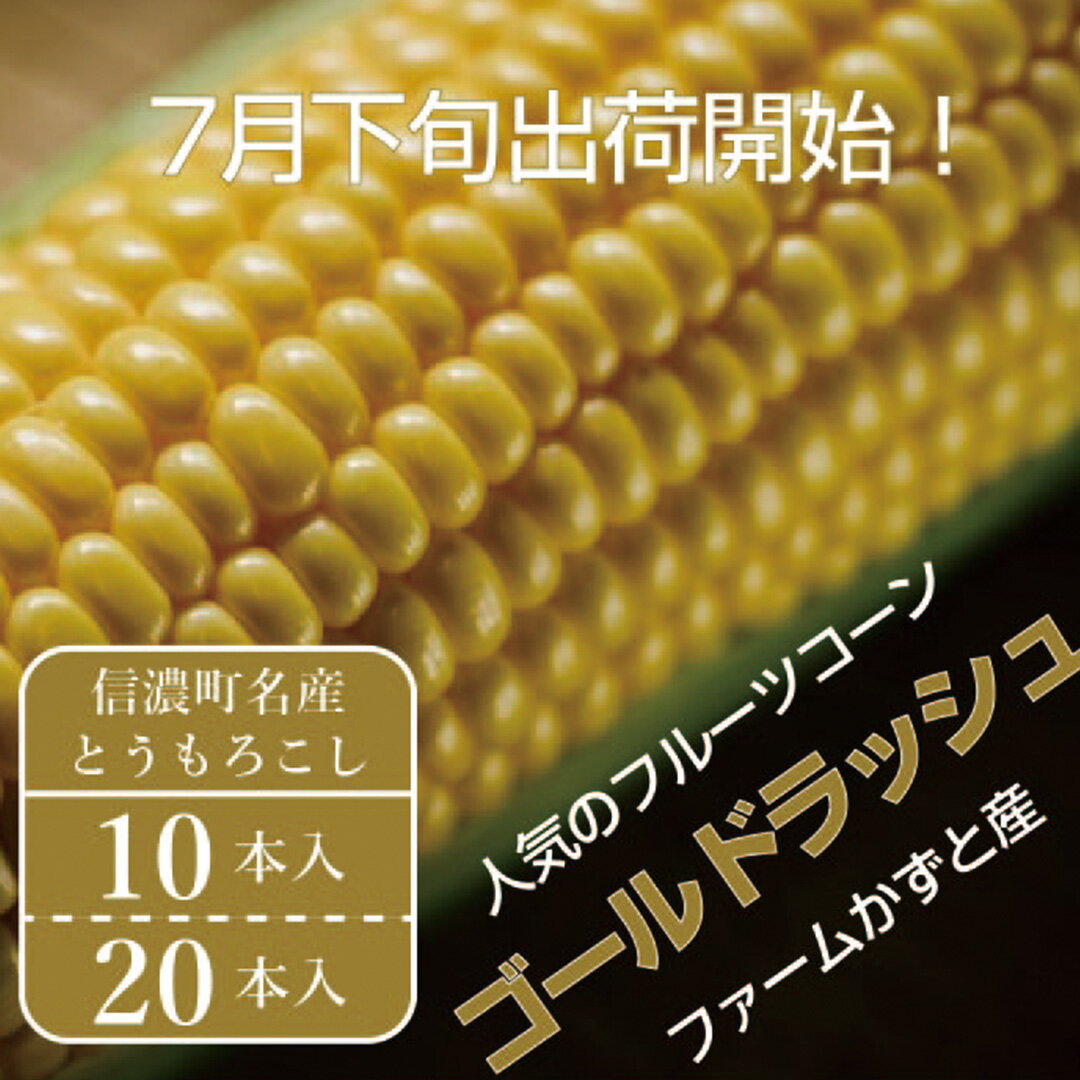 【ふるさと納税】信濃町名産とうもろこし『ファームかずとのゴールドラッシュ 10本/20本セット』2025年夏の予約受付開始！｜2025年8月上旬のお届け予定　朝採れのトウモロコシを生産者から直送【長野県信濃町ふるさと納税】