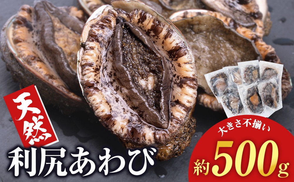
                  北海道 利尻島産 ☆天然利尻あわび 500g☆ 北海道 あわび 鮑 刺身
                