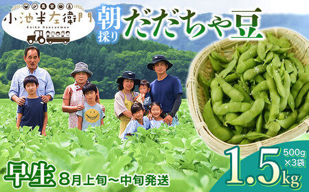 【令和7年産】朝採りだだちゃ豆 【早生】1.5kg (500g×3袋) 枝豆　小池半左衛門